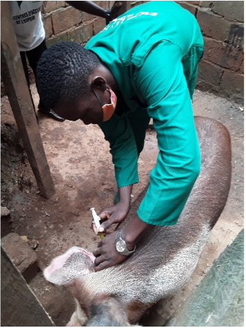 VISITE DE TRAVAIL DU DELEGUE DEPARTEMENTAL POUR LA MEFOU ET AFAMBA DU MINISTERE DE L’EMPLOI ET DE LA FORMATION PROFESSIONNELE (MINEFOP) DU CAMEROUN  AU CENTRE DE PROMOTION DES ACTIVITES SOCIOECONOMIQUES (CEPASE) DE NKOABANG