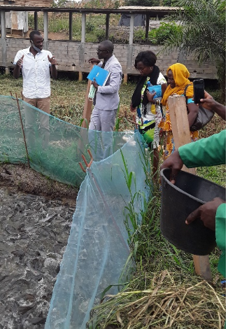 CENTRE PROMOTION DES ACTIVITES SOCIOECONOMIQUES (CEPASE) DE  NKOABANG : LES GRANDS CLICHÉS DU DÉROULEMENT DES EXAMENS DE FIN DE FORMATION DE LA CUVÉE 2019 EN VUE DE L’OBTENTION DU CERTIFICAT DE QUALIFICATION PROFESSIONNELLE (CQP),  SESSION DE SEPTEMBRE 20