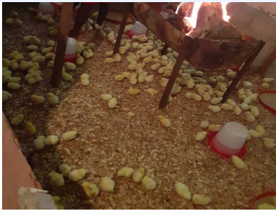 LES ACTIVITES EXPERIMENTALES AU COEUR DE LA FORMATION AU CEPASE