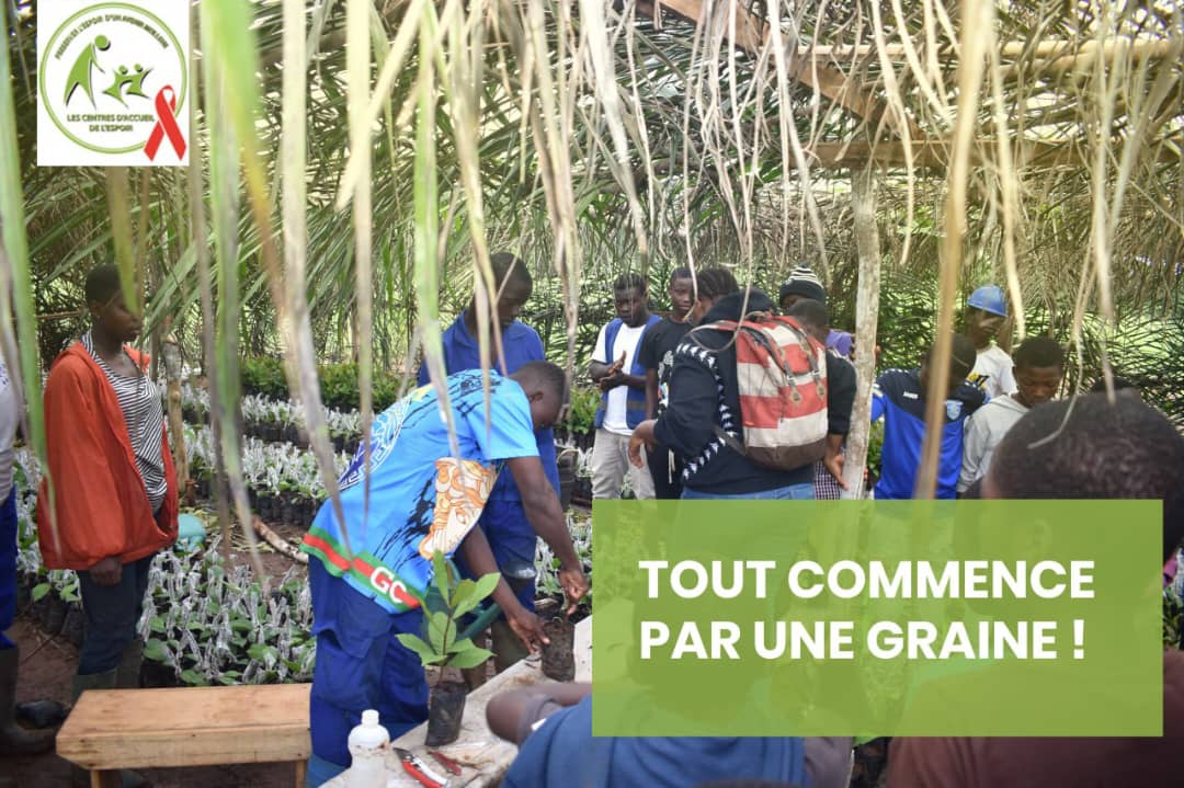 🌱 Tout commence par une graine.